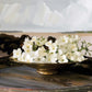 Arabian Jasmine