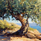 AlJouf Shade