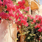  شلال الجهنمية