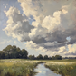 Summer Fields