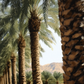 Palm Avenue
